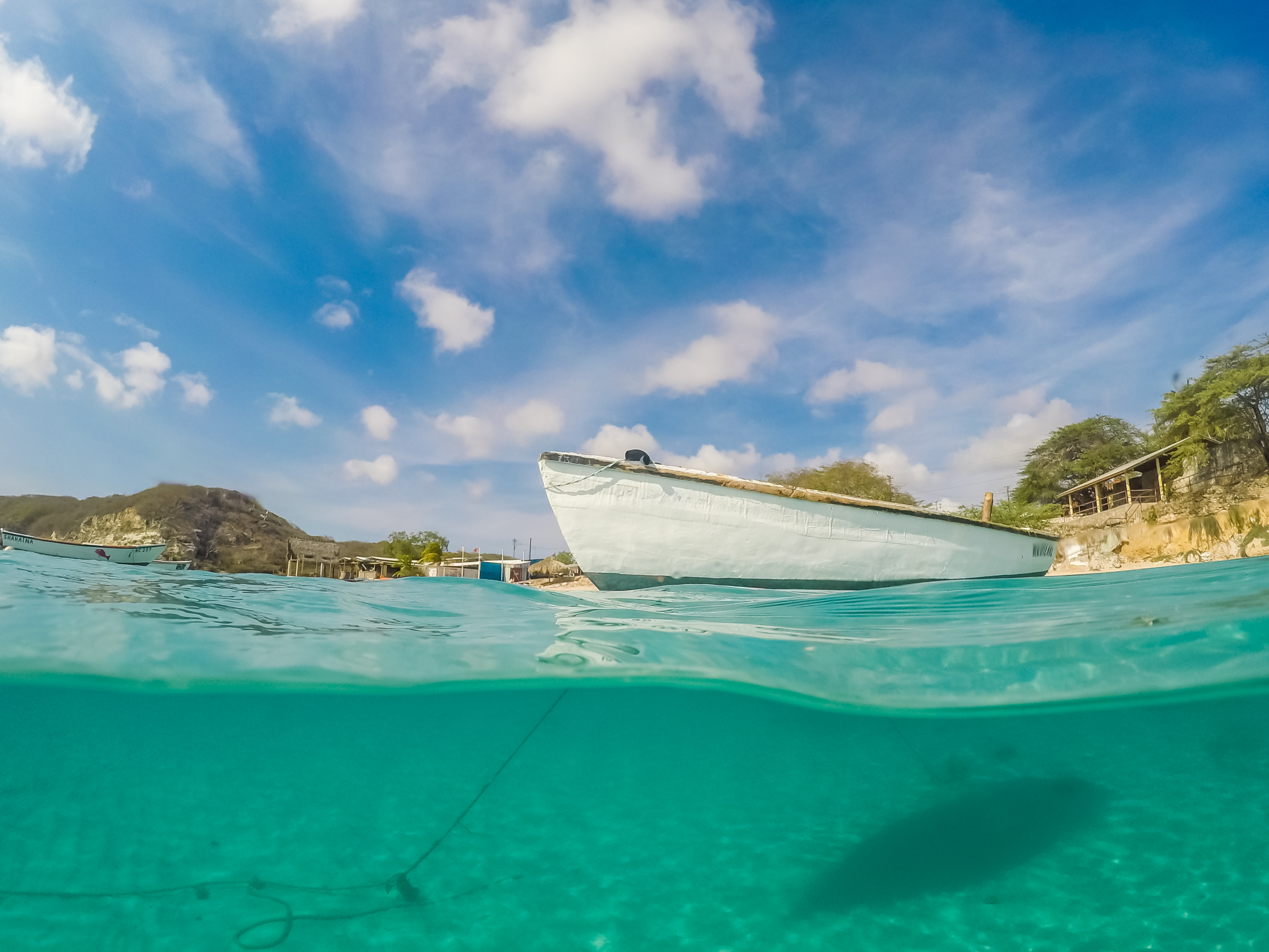 snorkelling-at-the-tug-boat-wreck-with-lots-of-fis-2026-03-26-00-18-15-utc_0003_Layer-0